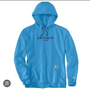 Carhartt sweatshirt force hoodie